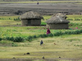 Dają też nawóz, materiał, z którego kobiety – wciąż główna siła robocza – budują tradycyjne niewielkie domki, manyata. Tu masajska wioska w Tanzanii.