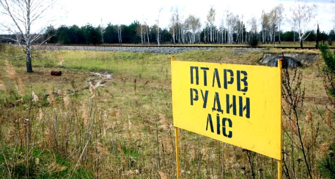 Czarnobylska Strefa Zamknięta. Znak oznaczający teren Czerwonego Lasu