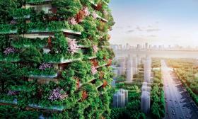 Projekt „pionowego lasu” w chińskim mieście Nanjing