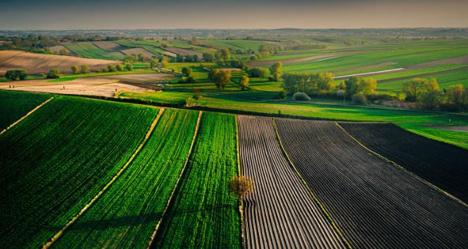 „Aż 90 proc. produkcji rolnej dostarcza zaledwie 10 proc. polskich rolników towarowych”.