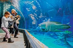 We Wrocławiu furorę wśród turystów robi Oceanarium-Afrykarium w miejskim zoo.
Można tam oglądać ponad 100 gatunków zwierząt (docelowo ma ich być około 250).