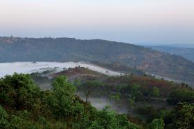 W zagłębiu węglowym Jaintia Hills w indyjskim stanie Meghalaya jest ok. 5 tys. półlegalanych kopalni.