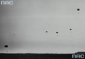 Polscy skoczkowie polecieli do Holandii, lądowali na południe od Arnhem na polach Driel (fotografia z ćwiczeń). Natychmiast podjęli walkę z hitlerowcami.