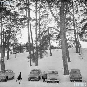 Lub do Parku Kultury w Powsinie. W 1963 r. parkują nieliczne samochody osobowe.