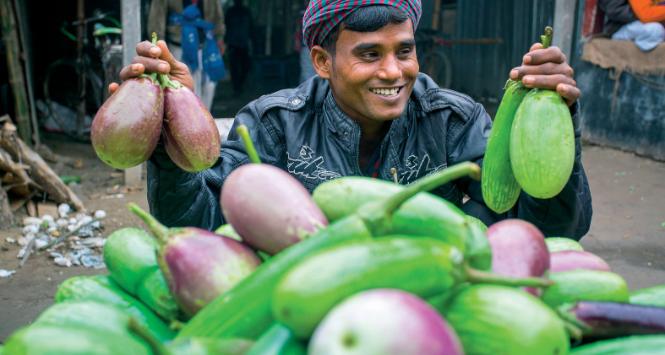 W tym roku już 17 proc. rolników uprawiających bakłażany w Bangladeszu zdecydowało się na uprawy GMO.