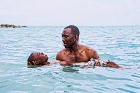 2. Moonlight, reż. Barry Jenkins, prod. USA. Oscar za najlepszy film dla niskobudżetowej produkcji o rzadko poruszanym problemie kłopotów z akceptacją homoseksualistów wśród Afroamerykanów.