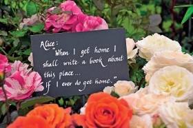 Motyw przewodni wystawy róż: Alicja w Krainie Czarów. I cytat z Alicji: „Kiedy wrócę do domu, napiszę książkę o tym miejscu... Jeśli kiedykolwiek wrócę do domu”. Róża Roku 2012 nazywa się Moment In Time (Ta jedna chwila).