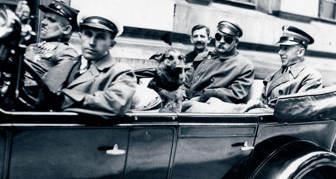 Wyjazd Piłsudskiego z Warszawy do Sulejówka. Na tylnym siedzeniu Józef Piłsudski, mjr Konrad Zembrzuski (z prawej) i pies Pies. Samochód prowadzi szofer Zygmunt Malinowski, obok niego wachmistrz Walenty Wójcik, 11 lipca 1929 r.