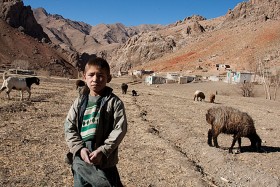 Pasterz we wsi Kharqol.  Dystrykt Malistan, 2009