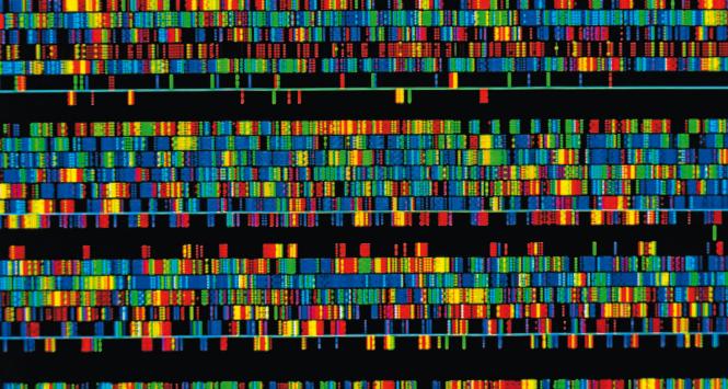 Komputerowy obraz sekwencji ludzkiego genomu.