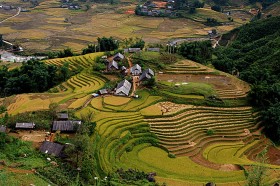 Plemię Meo inaczej zwany Hmong pracowicie uprawiało tarasowe pola. Dolina Lao Chai, region Hmong Północny.