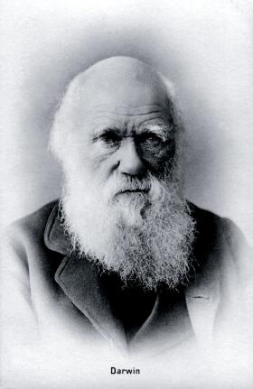 Karol Darwin (1809–82), twórca teorii ewolucji