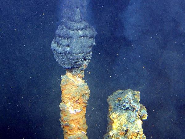 Oceaniczny komin hydrotermalny, tzw. ciemny dymnik