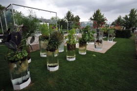 Na powierzchni ponad 30 akrów swoje pomysły prezentuje kilkuset projektantów ogrodów oraz hodowców roślin.