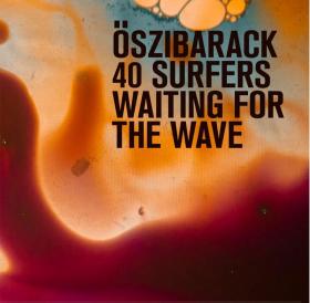 10. Oszibarack, 40 Surfers Waiting For The Wave (EMI). Trzeci album wrocławskiego zespołu to nader udana próba tanecznej transowości.