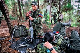 Sielankowy obraz z obozu partyzantów FARC. Dla wielu wieśniaków FARC to firma, w której zarabiają na życie.