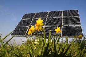 Niemieckie firmy produkujące panele wchodzą już do Polski licząc, że będą powstawały nie tylko farmy solarne, ale także małe instalacje domowe.