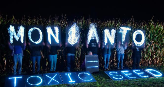 Monsanto – czemu trudno się dziwić – już zapowiedziało odwołanie od wyroku.