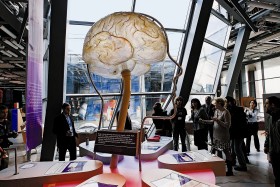 Galeria Człowiek i Środowisko Eksponat obrazujący ośrodki zmysłów w mózgu człowieka.