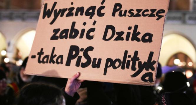 Protest „Solidarni z dzikami” przeciwko planowanemu odstrzałowi dzików, Rynek Główny w Krakowie, 2019 r.