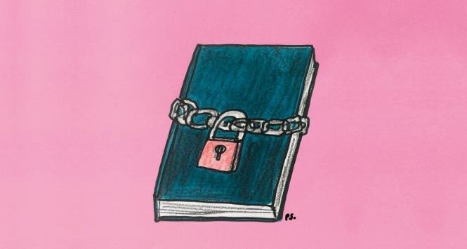 Zgodnie z nowymi przepisami obowiązującymi w stanie Arkansas można skazać bibliotekarzy i księgarzy na karę więzienia, jeśli nie utworzą oddzielnej strefy „tylko dla dorosłych”.