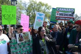 Kampania zwolenników legalizacji marihuany w celach leczniczych