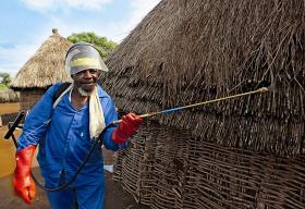 DDT powróciło, bo stosowane z umiarem skutecznie zwalcza komary roznoszące malarię. Na fot.: opryski w RPA.