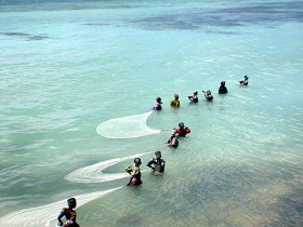 Ocean Indyjski jest bogaty. Rajskie plaże dla turystów i ryby dla mieszkańców. Kobiety rozstawiają sieci.