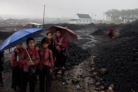 Kampanie przeciwko wykorzystywaniu dzieci w kopalniach wywołały oddźwięk na forum międzynarodowym, ale rząd w Meghalayi odpowiedział tylko wrogością i wyparciem.