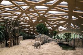 Dom dla słoni w zoo w Zurychu. Nawet w szwajcarskim zoo można dojrzeć błysk architektonicznego geniuszu. Studio Markus Schietsch Architekten podjęło się specyficznego zadania – zadaszenia przestrzeni dla słoni. Konstrukcja jest drewniana, wypukła, falista, zbudowana z elementów różnej wielkości i, jak widać, bardzo efektowna. Dach ma w sumie aż 6,8 tys. m kw. Rozbudowany park dla słoni jest teraz dwukrotnie pojemniejszy, zwierzęta mają więc i swobodę, i dostęp do światła. Naraz może tu spacerować nawet dziesięć słoni.
