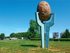 Pomnik ziemniaka w Biesiekierzu w Zachodniopomorskiem