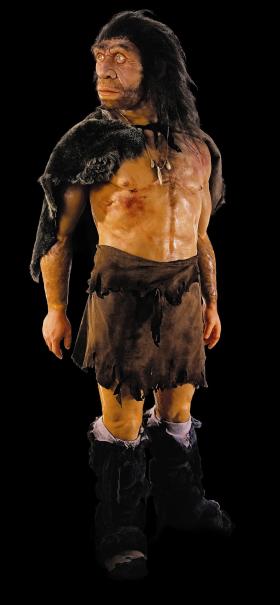 Rekonstrukcja postaci i stroju neandertalczyka.