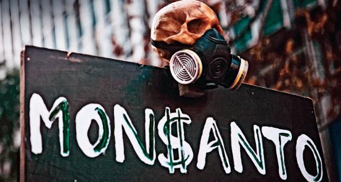 Protest przeciwko gigantowi Monsanto, Santiago de Chile.