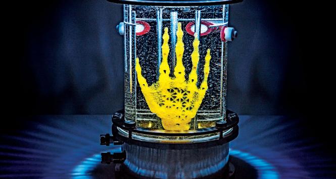 Ręka z biodegradowalnego materiału, wydrukowana w drukarce 3D, a następnie umieszczona w bioreaktorze, tak aby wydrukowane rusztowanie obrosło ludzkimi komórkami macierzystymi, które następnie przekształcą się w różne tkanki ręki. Projekt Amy Karle.