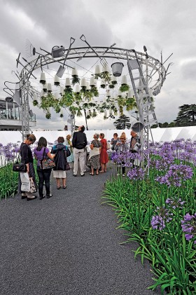 „Przepraszam na chwilę, pocałuję niebo” – tytuł nagrodzonej w Hampton Court ekspozycji kwiatów zwróconych korzeniami ku niebu