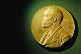 Nobel w swym testamencie arbitrami pokojowej nagrody uczynił właśnie Norwegów, choć expressis verbis nakazał im nagradzać „bez względu na narodowość”.