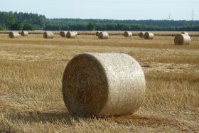 Średnia powierzchnia polskiego gospodarstwa rolnego to dziś niewiele ponad 10 ha.