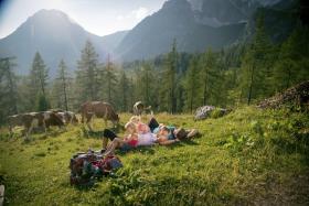 Nowe miejsce do odkrycia – Styria 

Styria nie bez powodu nazywana jest „zielonym sercem Austrii”. Krajobraz jest tu mocno zróżnicowany, ale jedno w nim dominuje – lasy i zielone łąki. Na północy przeważają imponujące szczyty z lodowcem Dachstein na czele i kwitnące wysokogórskie hale. Na południu czekają na turystów delikatne wzgórza, winnice i źródła termalne.