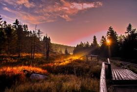 Park Narodowy Harzu – 
mity, legendy i czarownice            
    
W sercu Niemiec, na pograniczu Saksonii-Anhalt i Dolnej Saksonii znajduje się średniogórze z rozległymi lasami, torfowiskami i naturalnymi potokami oraz Parkiem Narodowym Harz o powierzchni  24 700 hektarów. Najwyższym szczytem jest Brocken (1141 m), według legend miejsce spotkań złych duchów i sabatu czarownic. Na górę można wjechać ciuchcią parową lub wejść słynnym Szlakiem Goethego. Oprócz żbików, w Parku Narodowym Harzu żyją jelenie, sarny, szopy pracze i jenoty. Z sukcesem udało się też odbudować populację rysia, który do końca lat 90. prawie tu nie występował.
