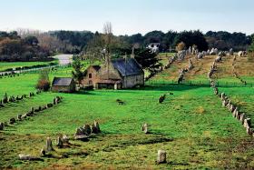 Bretania, megalityczne pozostałości w Carnac. Wielkie kamienne konstrukcje miały integrować społeczności i wzmacniać tożsamość tubylców.