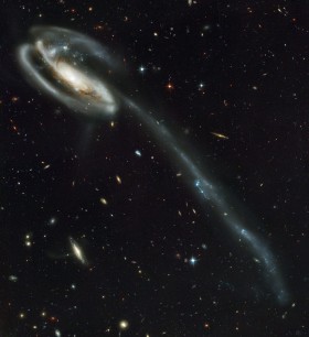 Galaktyka Kijanka w gwiazdozbiorze Smoka, 420 milionów lat świetlnych. Jedno jej ramię jest rozciągnięte na odległość 280 tys. lat świetlnych w wyniku kolizji z kompaktową galaktyką widoczną z lewej górnej strony.