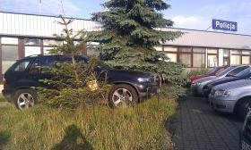 BMW Jacka Kurskiego na trawniku w Gdańsku.