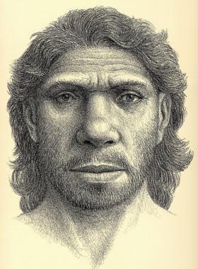 Tak mógł wyglądać tzw. Człowiek z Heidelbergu - ostatni przodek wspólny  homo sapiens i homo neanderthalensis.