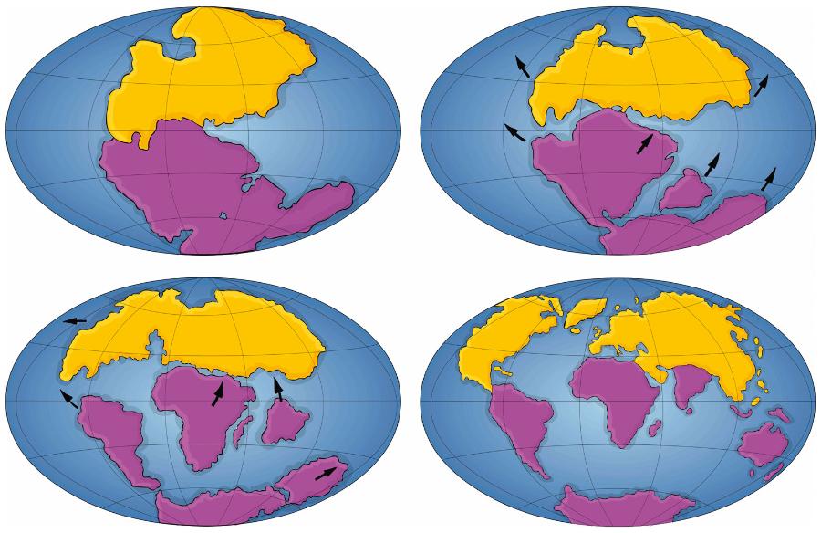 Wędrówka ­kontynentów. Znaczenie dla ­powstania Atlantyku ­miało rozdzielenie się Ameryki Północnej i Europy.