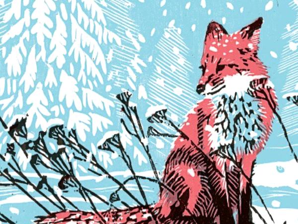 Okładka książki „Beskid bez kitu. Zima”