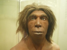 Zaczęło sie 13 lat temu. Dokładne opisanie genomu Neandertalczyka zakończono w tym roku. Współcześni Europejczycy i Azjaci różnią sie genetycznie od Neandertalczyka o 1 do 4 proc. Udowodniono też, że homo sapiens krzyżował się z tym gatunkiem.