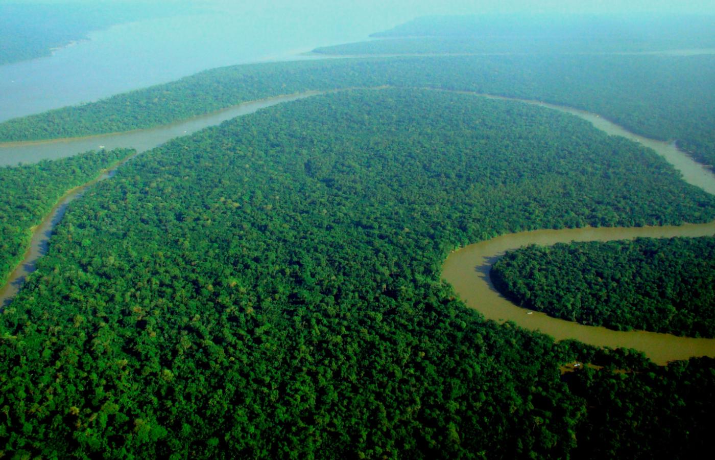 Amazońska dżungla to największe tego typu skupisko przyrody na świecie.