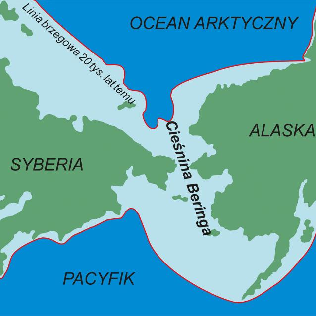 W czasie ostatniego zlodowacenia szerokość lądowego pomostu między Syberią i Alaską przekraczała 1000 km.