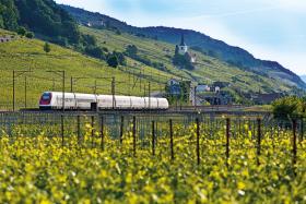Położony w północno-zachodniej części kraju region Jura słynie z produkcji zegarków. Które nie powstają w wielkich fabrykach, ale w prawdziwie górskim krajobrazie. Miasta, w których zegarki się produkuje, odwiedzimy, decydując się na podróż koleją z miejscowości Neuchâtel (stolicy kantonu pod tą samą nazwą), przez La Chaux-de-Fonds – aż do Saignelégier (w kantonie Jura). Miniemy po drodze trzy jeziora: Biel (tu zaś dostrzeżemy wyspę św. Piotra), Murten i Neuchâtel.