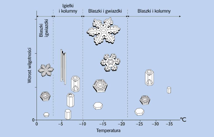 Płatki śniegu przybierają różnorodne formy w zależności od warunków, w których się kształtowały.